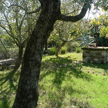 Le Ninfee Bed & Breakfast Cassino Dış mekan fotoğraf
