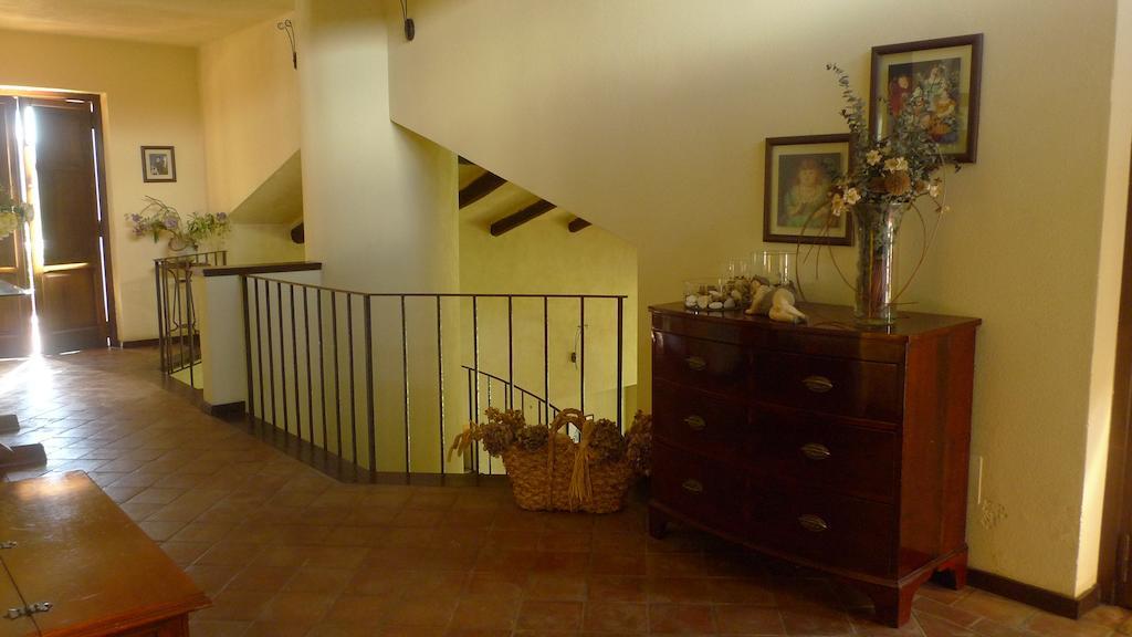 Le Ninfee Bed & Breakfast Cassino Dış mekan fotoğraf