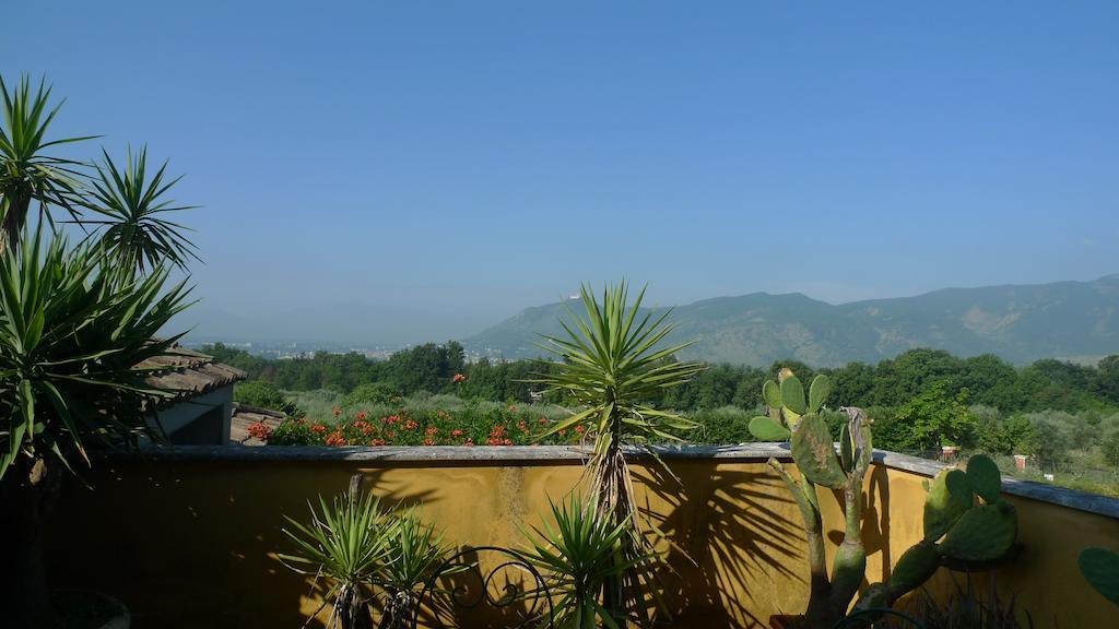 Le Ninfee Bed & Breakfast Cassino Dış mekan fotoğraf