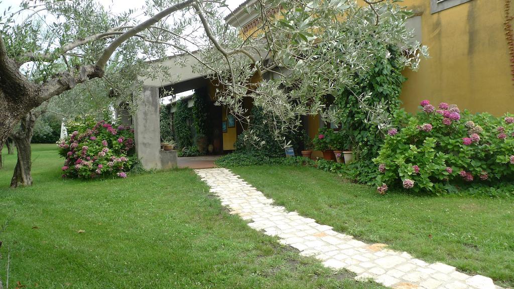 Le Ninfee Bed & Breakfast Cassino Dış mekan fotoğraf