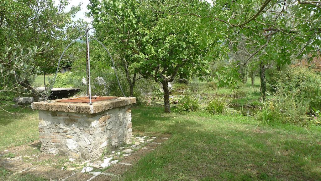 Le Ninfee Bed & Breakfast Cassino Dış mekan fotoğraf