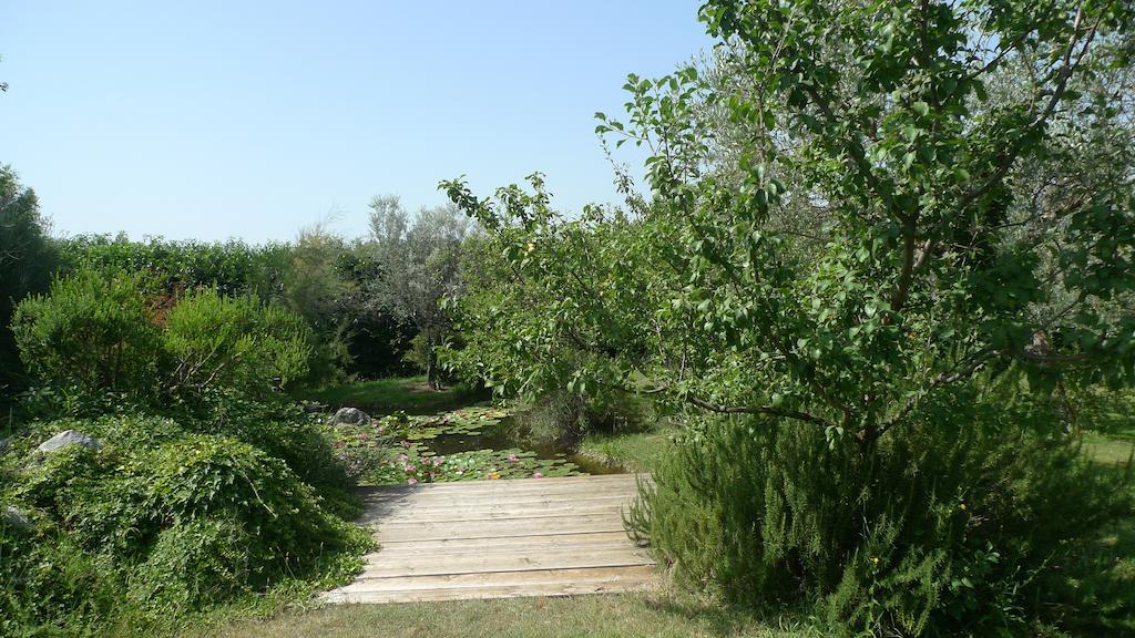 Le Ninfee Bed & Breakfast Cassino Dış mekan fotoğraf