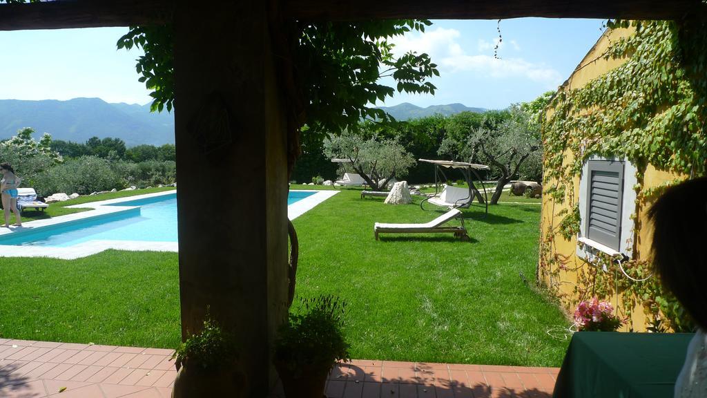 Le Ninfee Bed & Breakfast Cassino Dış mekan fotoğraf